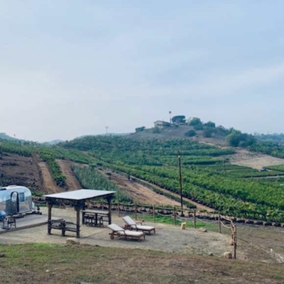 Meet your Posher, Yuliya - Picture 4 of 4